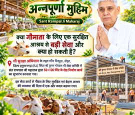 🐄 अन्नपूर्णा मुहिम | गौ सुरक्षा अभियान
🙏 गौमाता के लिए सुरक्षित आश्रय की दिशा में एक और कदम।
🏗️ 50×100 फीट शेड निर्माण कार्य
📍 श्री कृष्ण गोपाल गौ सेवा समिति, गाँव चैनपुरा, नोहर, जिला हनुमानगढ़ (RJ) लाइट कलर और आकर्षक 3D Instagram पोस्ट, जिसमें “अन्नपूर्णा मुहिम” और “Sant Rampal Ji Maharaj” की ब्रांडिंग के साथ गौ सुरक्षा अभियान को दर्शाया गया है। पोस्ट में गाँव चैनपुरा, नोहर, जिला हनुमानगढ़ (RJ) स्थित श्री कृष्ण गोपाल गौ सेवा समिति में 50×100 फीट के शेड निर्माण कार्य, गौवंश के लिए सुरक्षित आश्रय और निर्माण कार्य के दृश्य प्रस्तुत किए गए हैं।